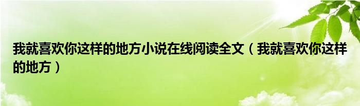  我就喜欢你这样的地方小说在线阅读全文（我就喜欢你这样的地方）