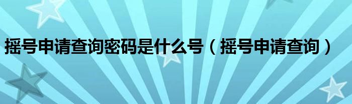  摇号申请查询密码是什么号（摇号申请查询）