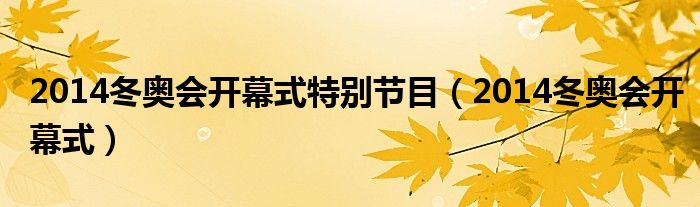  2014冬奥会开幕式特别节目（2014冬奥会开幕式）