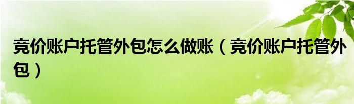  竞价账户托管外包怎么做账（竞价账户托管外包）