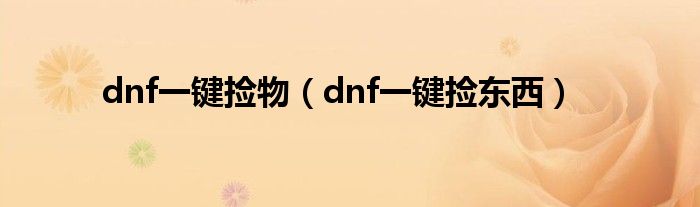  dnf一键捡物（dnf一键捡东西）