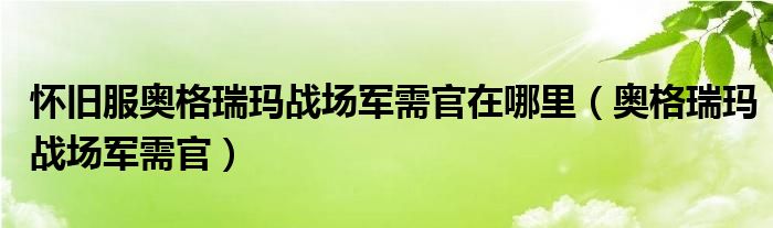  怀旧服奥格瑞玛战场军需官在哪里（奥格瑞玛战场军需官）