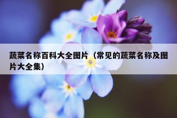 蔬菜名称百科大全图片（常见的蔬菜名称及图片大全集）