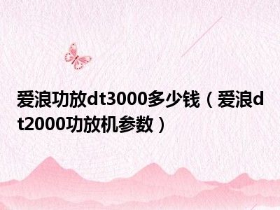 爱浪功放dt3000多少钱（爱浪dt2000功放机参数）