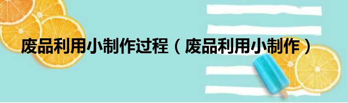 废品利用小制作过程（废品利用小制作）