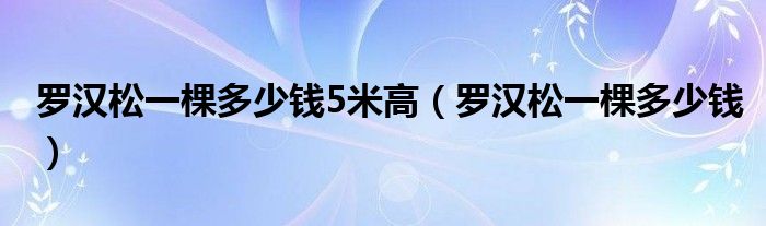  罗汉松一棵多少钱5米高（罗汉松一棵多少钱）