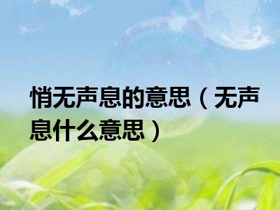 悄无声息的意思（无声息什么意思）