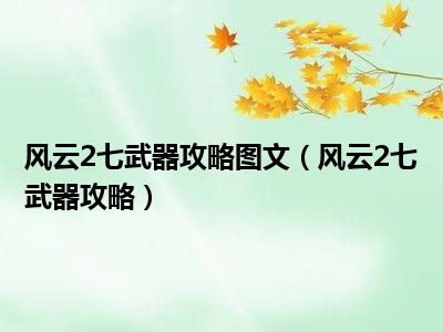 风云2七武器攻略图文（风云2七武器攻略）