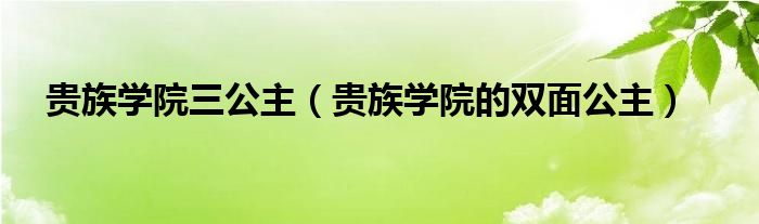  贵族学院三公主（贵族学院的双面公主）