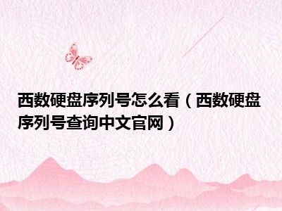 西数硬盘序列号怎么看（西数硬盘序列号查询中文官网）