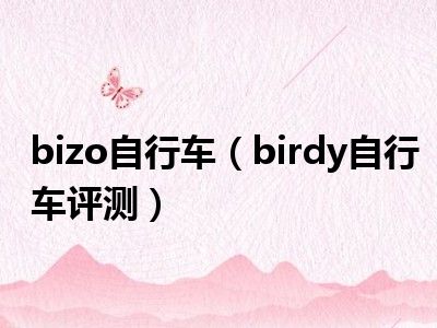 bizo自行车（birdy自行车评测）