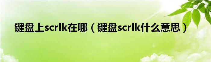  键盘上scrlk在哪（键盘scrlk什么意思）