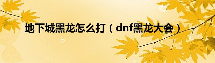  地下城黑龙怎么打（dnf黑龙大会）