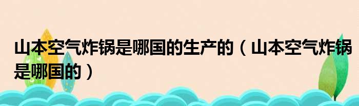 山本空气炸锅是哪国的生产的（山本空气炸锅是哪国的）