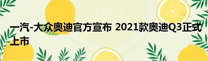 一汽-大众奥迪官方宣布 2021款奥迪Q3正式上市