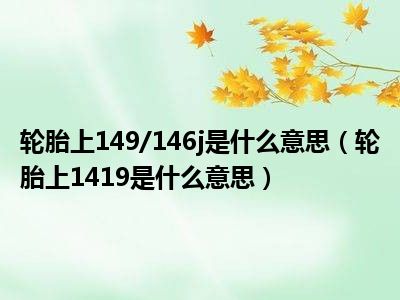 轮胎上149/146j是什么意思（轮胎上1419是什么意思）