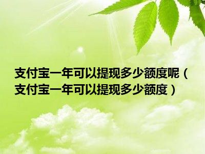 支付宝一年可以提现多少额度呢（支付宝一年可以提现多少额度）