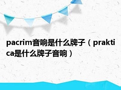 pacrim音响是什么牌子（praktica是什么牌子音响）