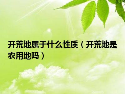 开荒地属于什么性质（开荒地是农用地吗）