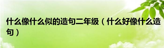  什么像什么似的造句二年级（什么好像什么造句）