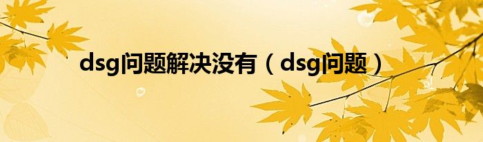  dsg问题解决没有（dsg问题）