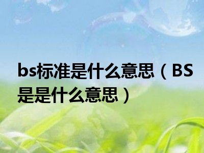 bs标准是什么意思（BS是是什么意思）