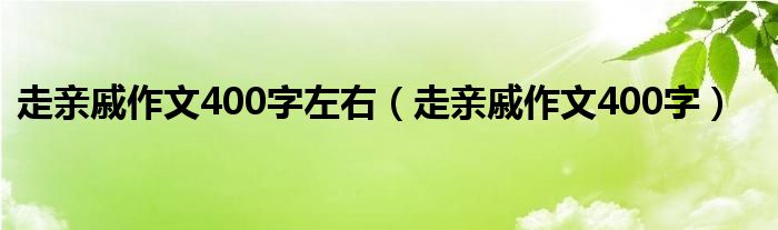  走亲戚作文400字左右（走亲戚作文400字）