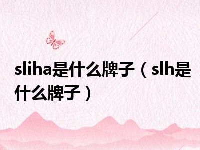 sliha是什么牌子（slh是什么牌子）