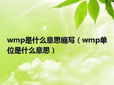 wmp是什么意思缩写（wmp单位是什么意思）