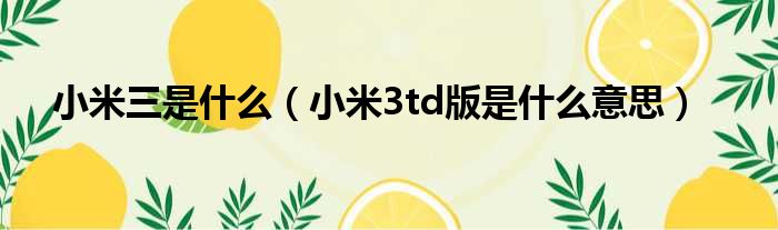 小米三是什么（小米3td版是什么意思）