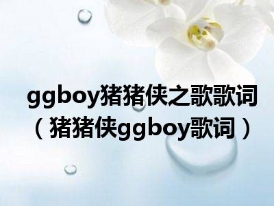 ggboy猪猪侠之歌歌词（猪猪侠ggboy歌词）