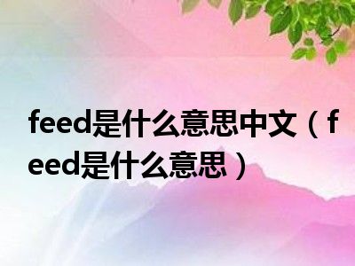 feed是什么意思中文（feed是什么意思）