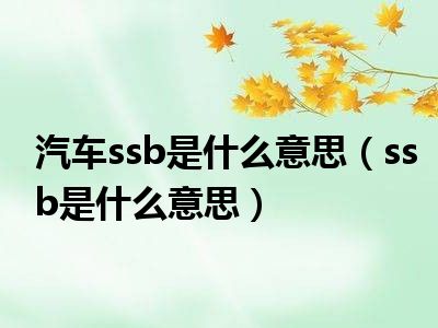 汽车ssb是什么意思（ssb是什么意思）