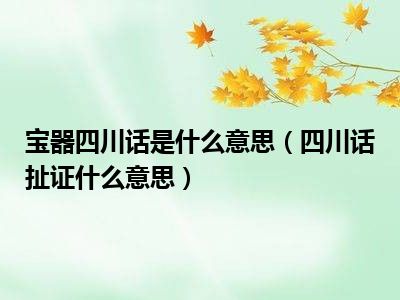 宝器四川话是什么意思（四川话扯证什么意思）