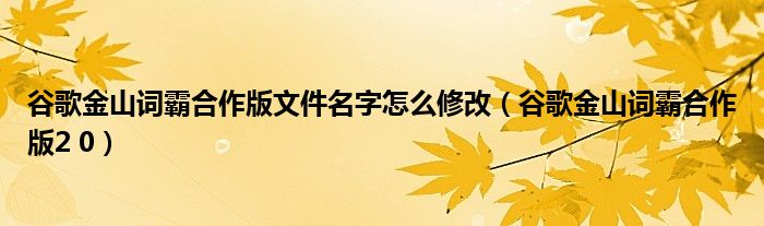  谷歌金山词霸合作版文件名字怎么修改（谷歌金山词霸合作版2 0）