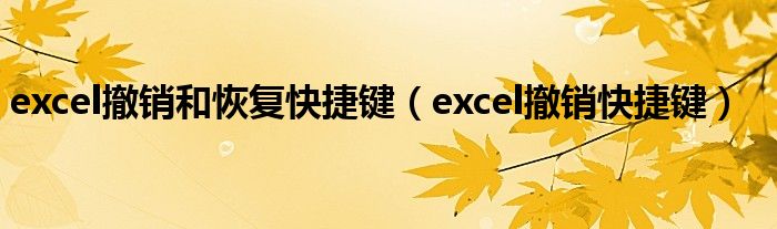  excel撤销和恢复快捷键（excel撤销快捷键）