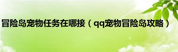  冒险岛宠物任务在哪接（qq宠物冒险岛攻略）