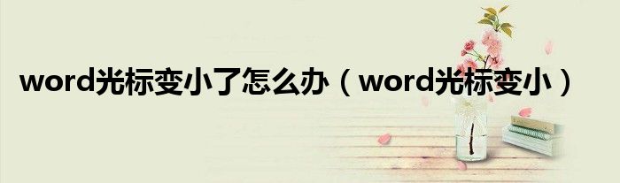  word光标变小了怎么办（word光标变小）