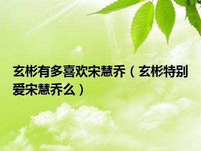 玄彬有多喜欢宋慧乔（玄彬特别爱宋慧乔么）