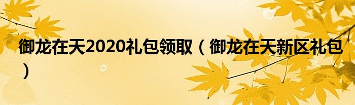  御龙在天2020礼包领取（御龙在天新区礼包）