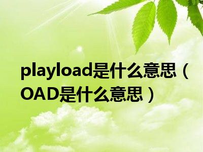 playload是什么意思（OAD是什么意思）