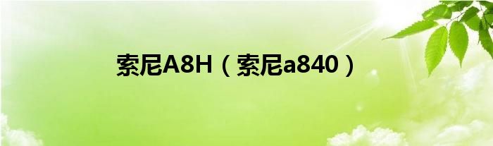  索尼A8H（索尼a840）