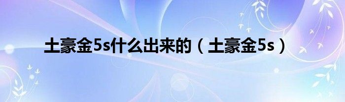  土豪金5s什么出来的（土豪金5s）