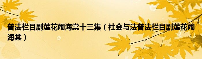  普法栏目剧莲花闹海棠十三集（社会与法普法栏目剧莲花闹海棠）