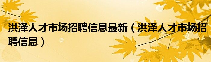  洪泽人才市场招聘信息最新（洪泽人才市场招聘信息）