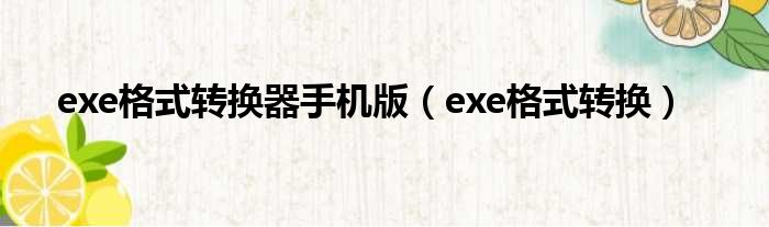 exe格式转换器手机版（exe格式转换）