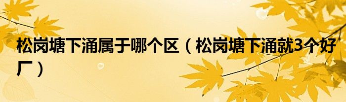  松岗塘下涌属于哪个区（松岗塘下涌就3个好厂）