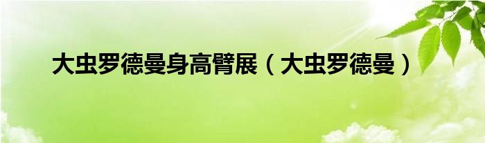  大虫罗德曼身高臂展（大虫罗德曼）