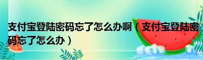 支付宝登陆密码忘了怎么办啊（支付宝登陆密码忘了怎么办）