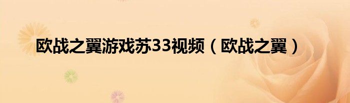  欧战之翼游戏苏33视频（欧战之翼）